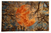 Tapis Darya 281cm x 185cm